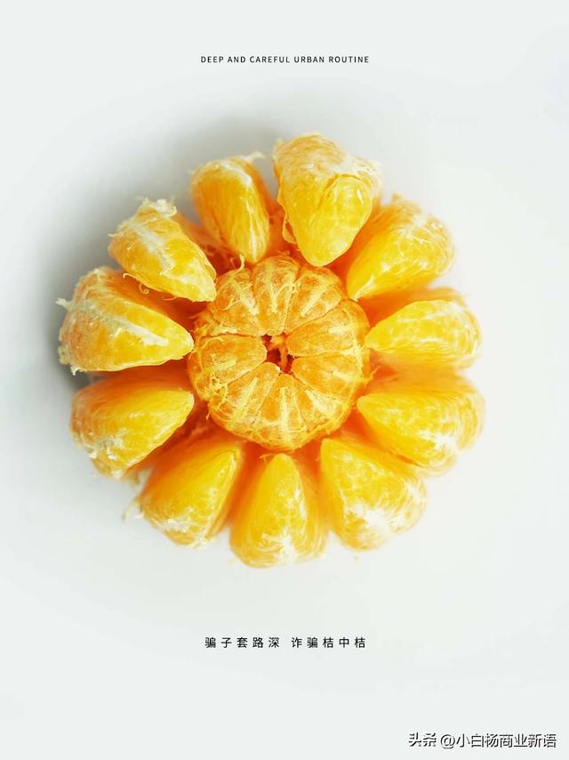 文章图片4