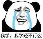 文章图片5